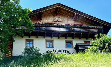 Tiefthalerhof Jenesien 4 suedtirol.info