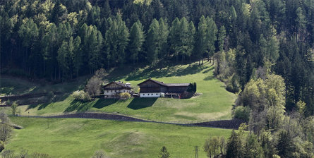 Tiefthalerhof Jenesien 3 suedtirol.info