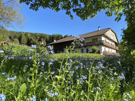 Schöpferhof Rasen-Antholz 1 suedtirol.info