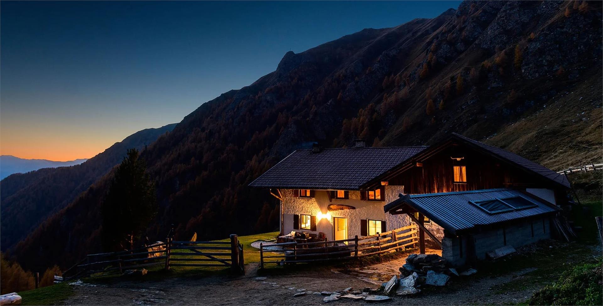 Simile Mahd Alm Freienfeld/Campo di Trens 4 suedtirol.info