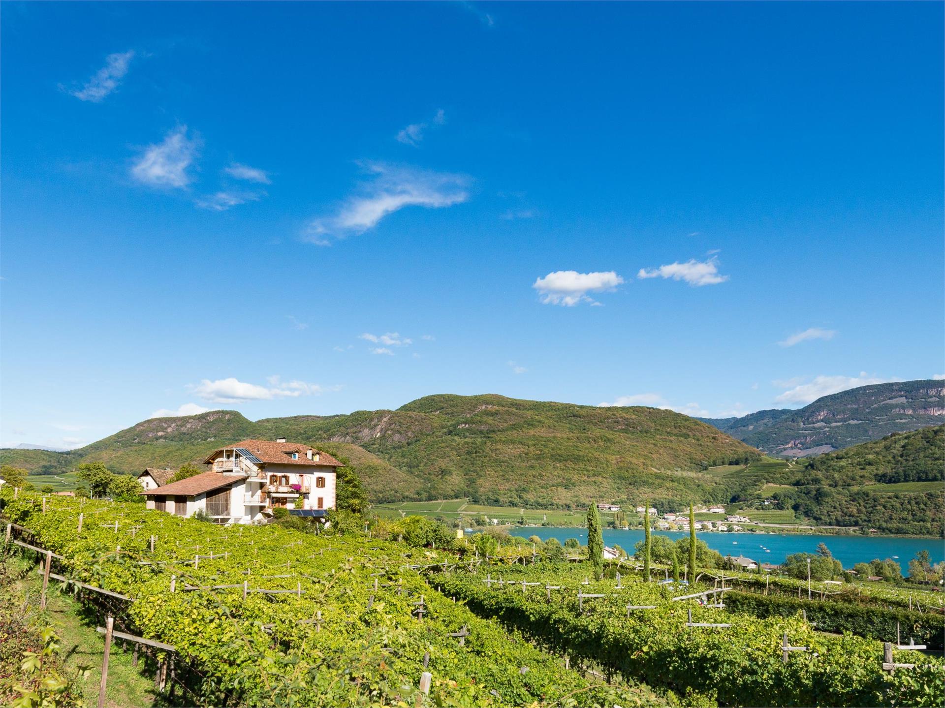 Seegut Caldaro sulla Strada del Vino 1 suedtirol.info