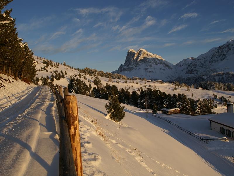 Schatzerhütte Brixen/Bressanone 15 suedtirol.info