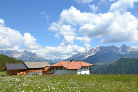 Samerhof Welschnofen 1 suedtirol.info