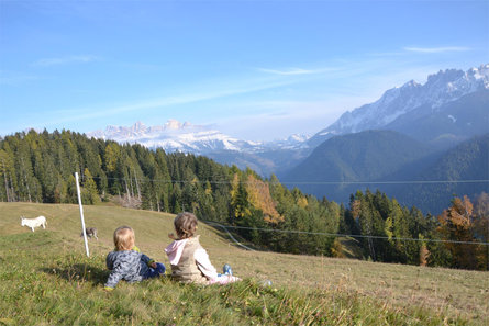 Samerhof Welschnofen 19 suedtirol.info