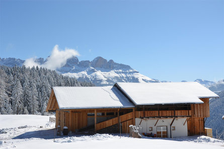 Samerhof Welschnofen 17 suedtirol.info