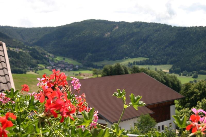 Schötzerhof Mölten/Meltina 10 suedtirol.info