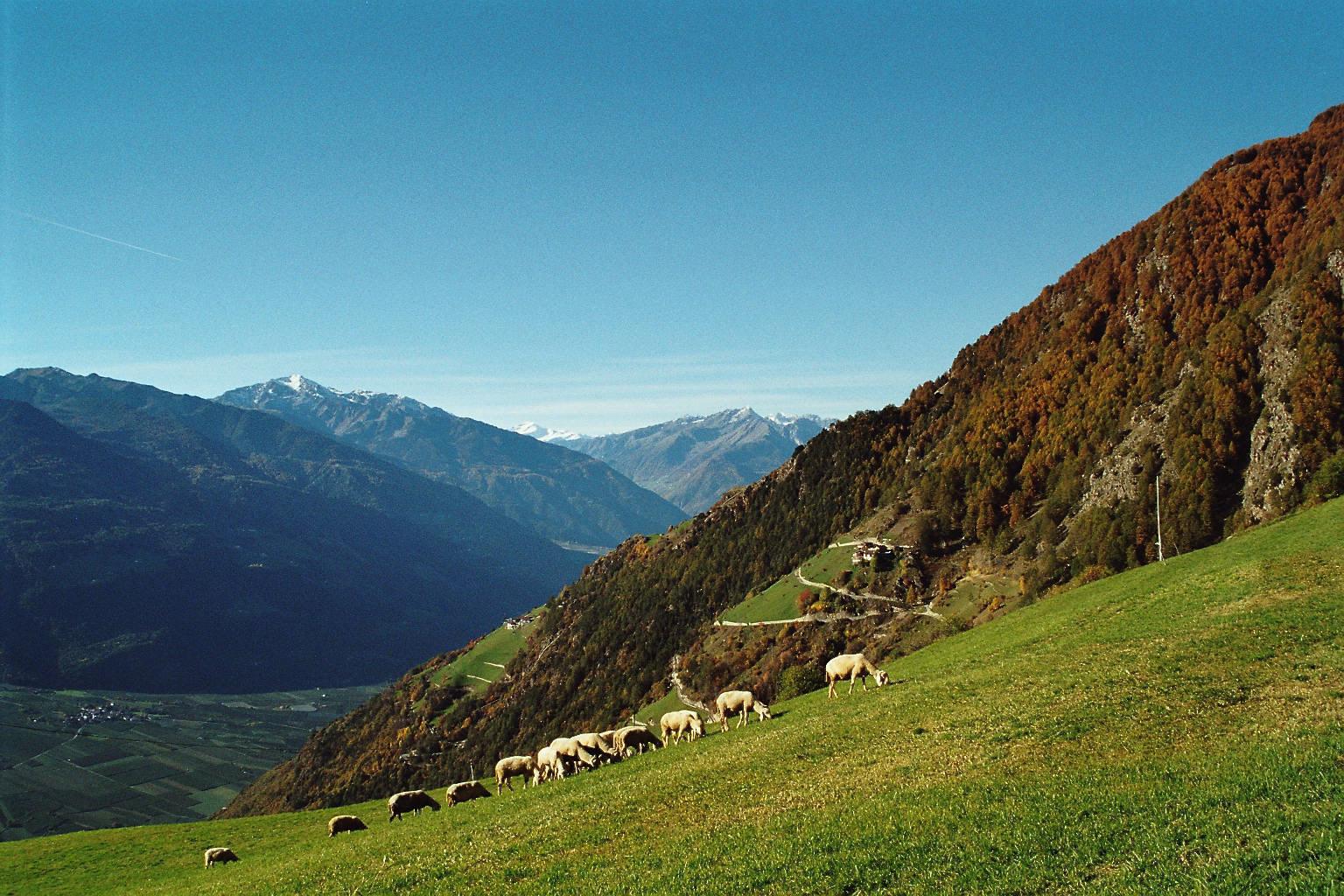 Schnatzhof Naturno 17 suedtirol.info