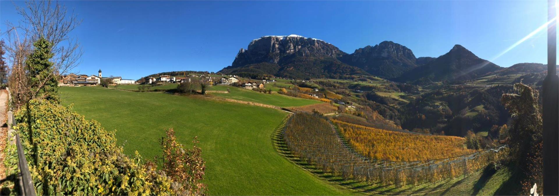 Silvy am Schlern Völs am Schlern/Fiè allo Sciliar 16 suedtirol.info