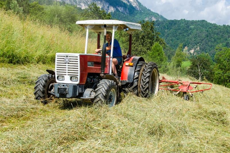 Steckerhof Eppan an der Weinstaße/Appiano sulla Strada del Vino 4 suedtirol.info