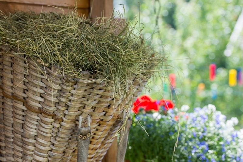 Steckerhof Eppan an der Weinstaße/Appiano sulla Strada del Vino 13 suedtirol.info