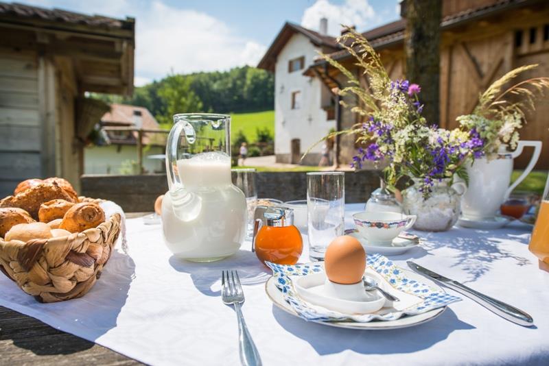 Steckerhof Eppan an der Weinstaße/Appiano sulla Strada del Vino 17 suedtirol.info