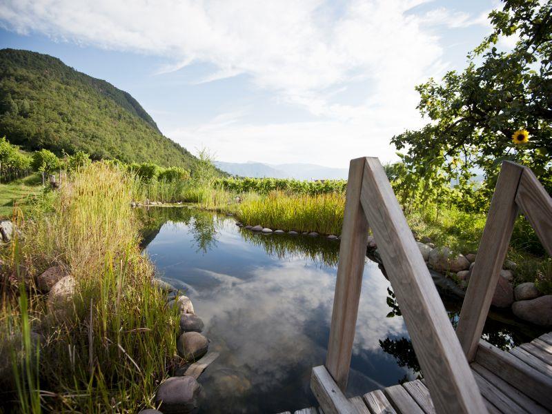 Tröpfltal-Bioweinhof Kaltern an der Weinstraße 7 suedtirol.info