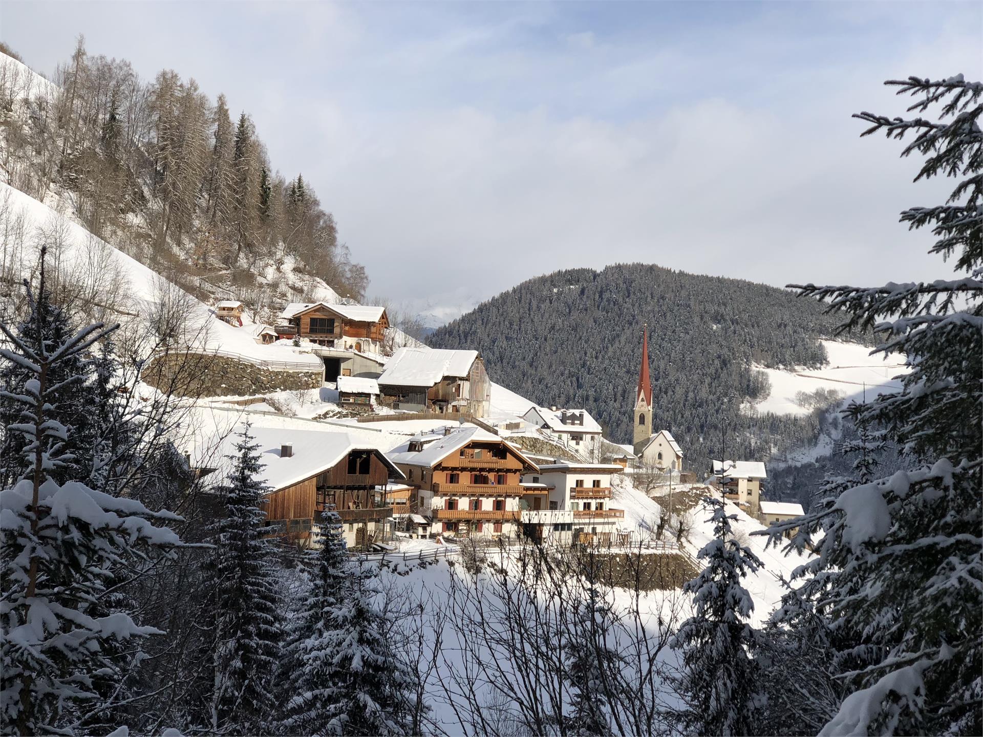 Thalerhof St.Lorenzen/San Lorenzo di Sebato 3 suedtirol.info