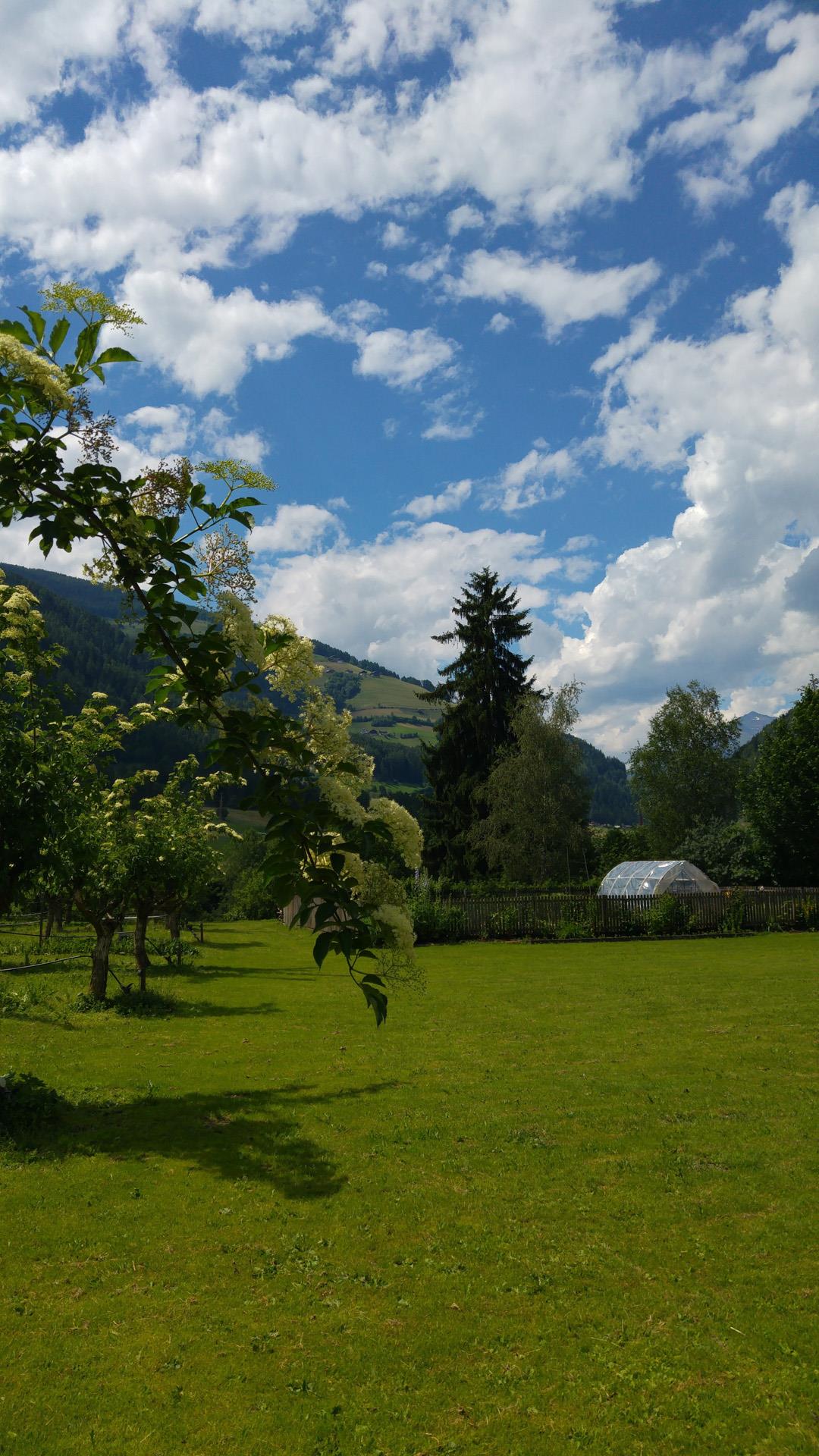 Tanglerhof St.Lorenzen/San Lorenzo di Sebato 14 suedtirol.info