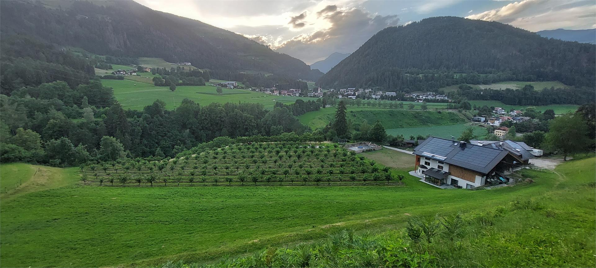 Tanglerhof St.Lorenzen/San Lorenzo di Sebato 2 suedtirol.info