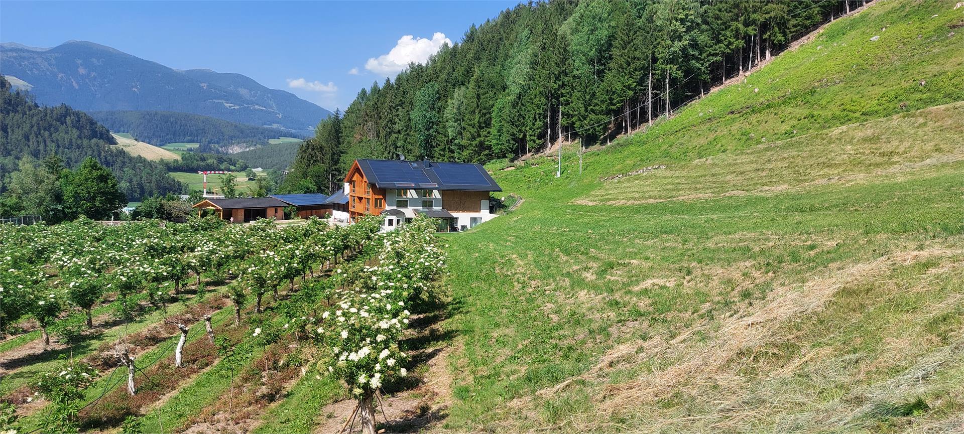 Tanglerhof St.Lorenzen/San Lorenzo di Sebato 6 suedtirol.info