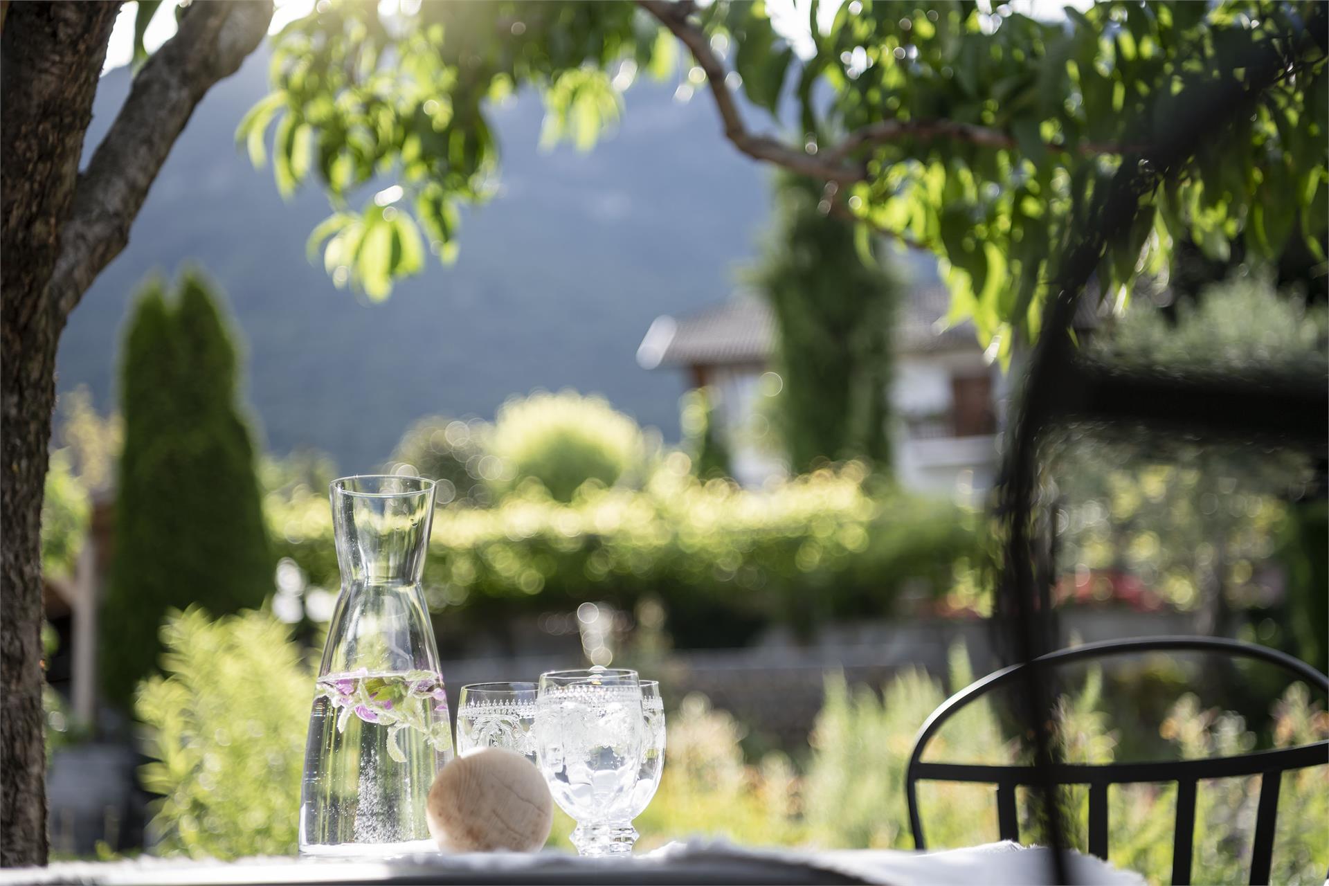 Traubenhof Caldaro sulla Strada del Vino 24 suedtirol.info