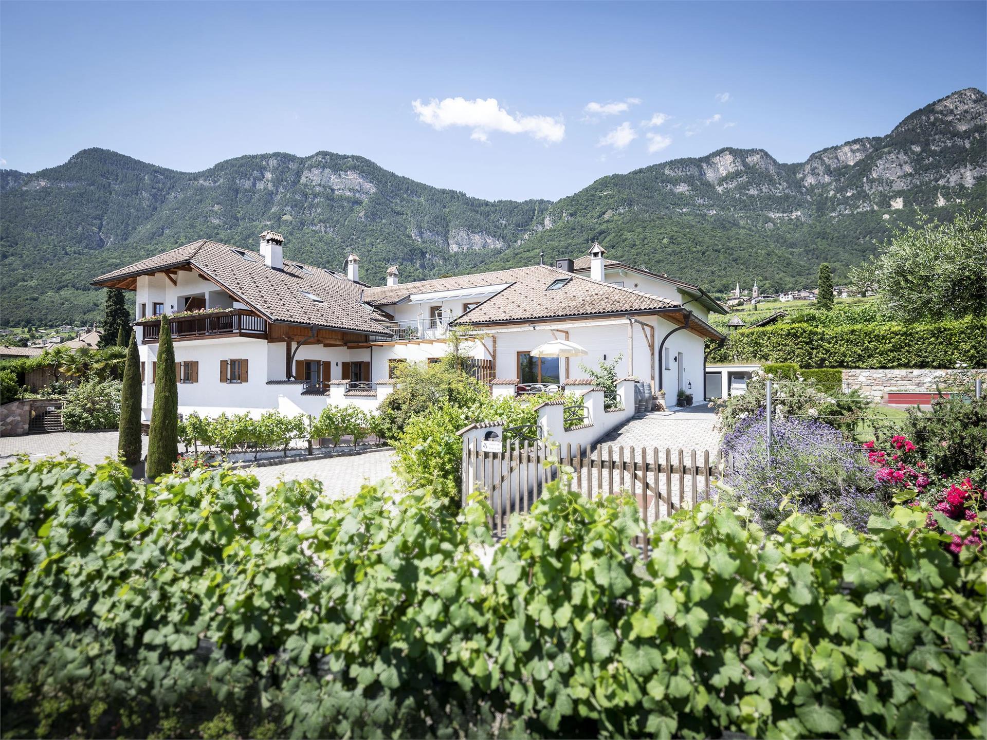 Traubenhof Caldaro sulla Strada del Vino 1 suedtirol.info