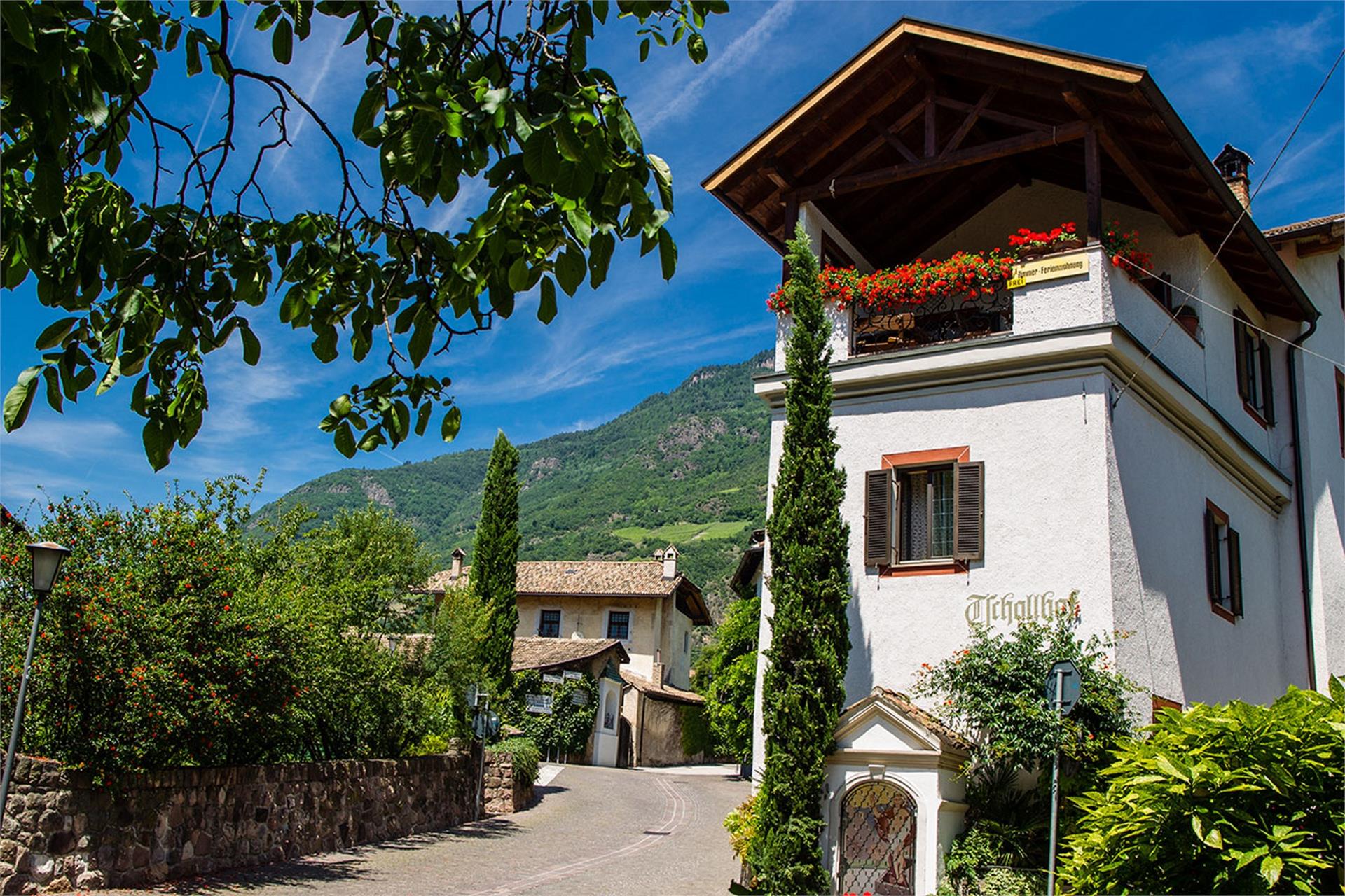 Tschollhof Terlano 1 suedtirol.info