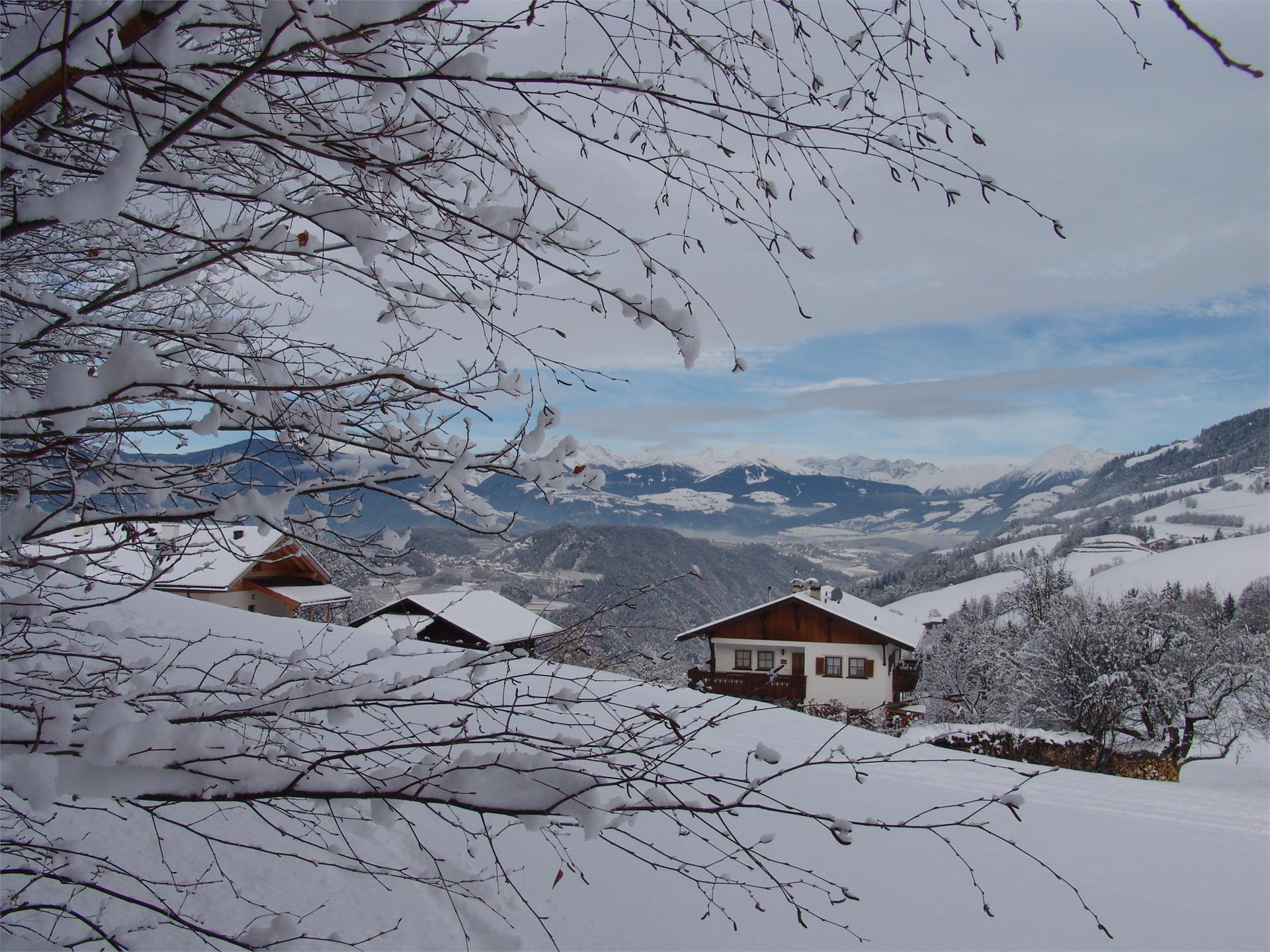 Turnerhof Brixen 2 suedtirol.info