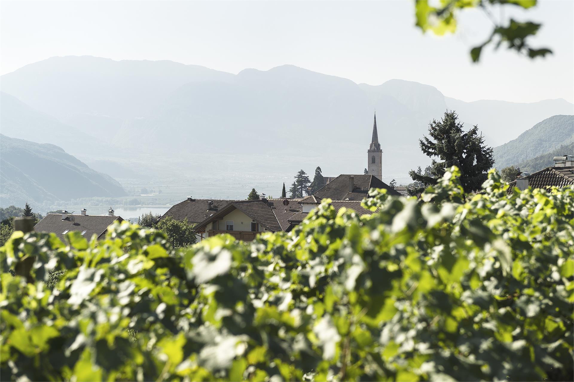 Torgglhof Kaltern an der Weinstraße 5 suedtirol.info