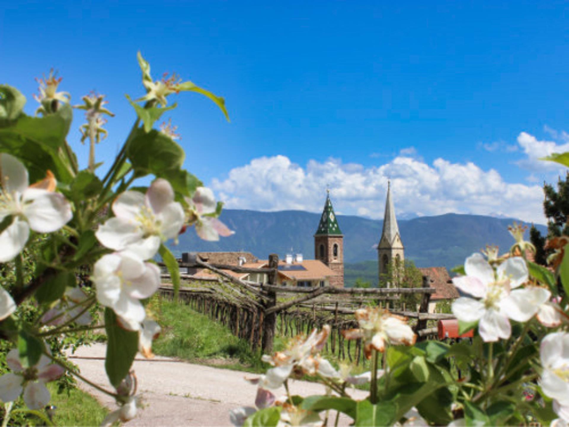 Teufelstein Caldaro sulla Strada del Vino 7 suedtirol.info