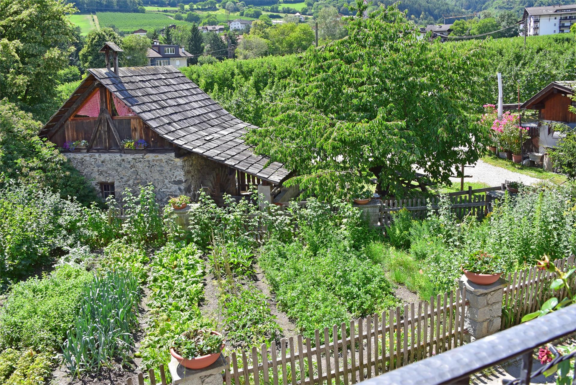 Tschiedererhof Vahrn 16 suedtirol.info