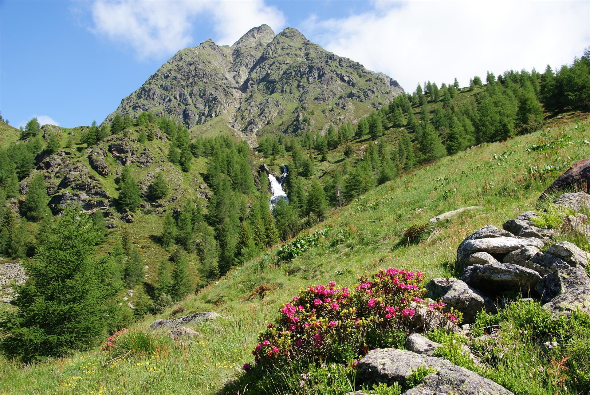 Tiefrastenhütte Terenten/Terento 2 suedtirol.info