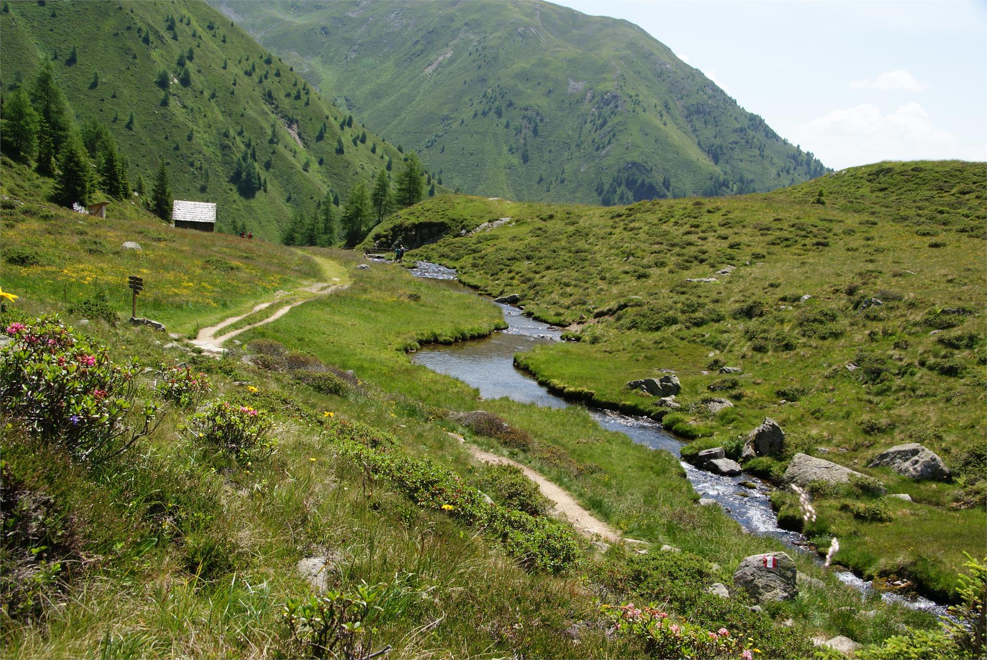 Tiefrastenhütte Terenten/Terento 3 suedtirol.info