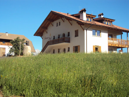 Trotnerhof Renon 6 suedtirol.info