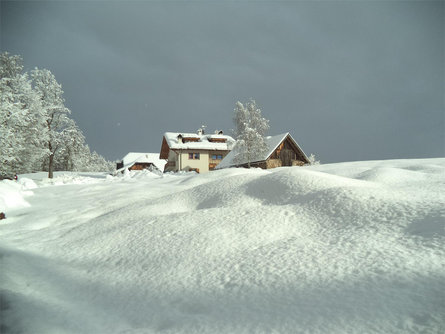 Trotnerhof Renon 8 suedtirol.info