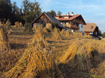 Trotnerhof Ritten/Renon 5 suedtirol.info