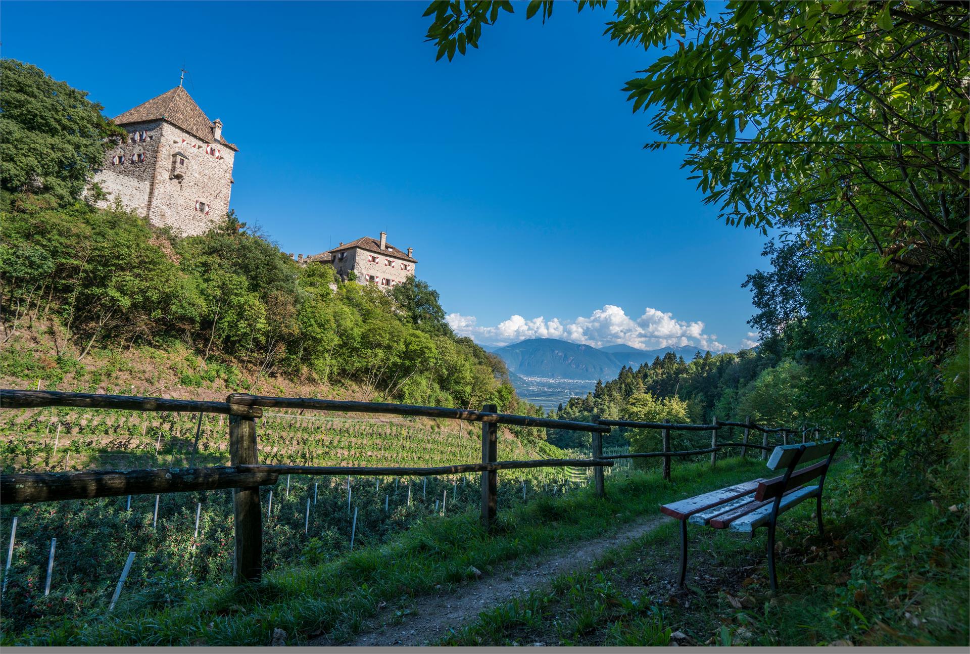 Trogerhof Tisens/Tesimo 28 suedtirol.info