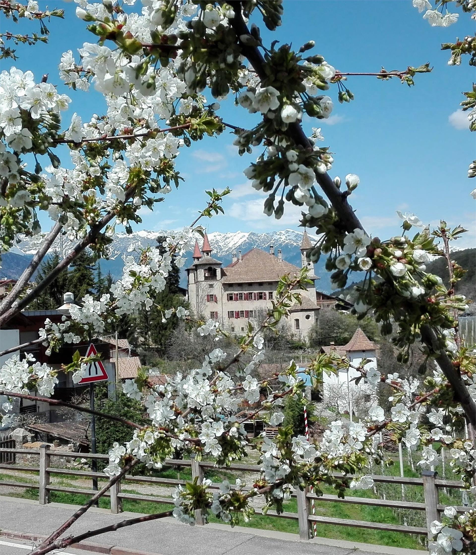 Trogerhof Tisens/Tesimo 22 suedtirol.info