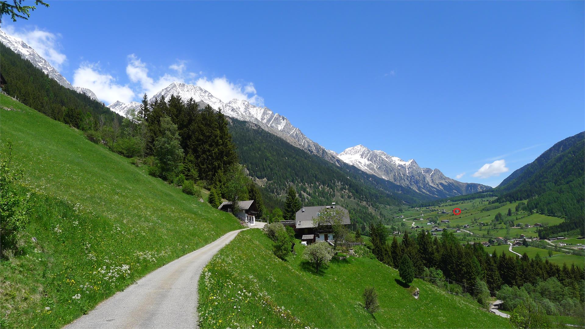 Unterreinischhof Rasen-Antholz/Rasun Anterselva 11 suedtirol.info