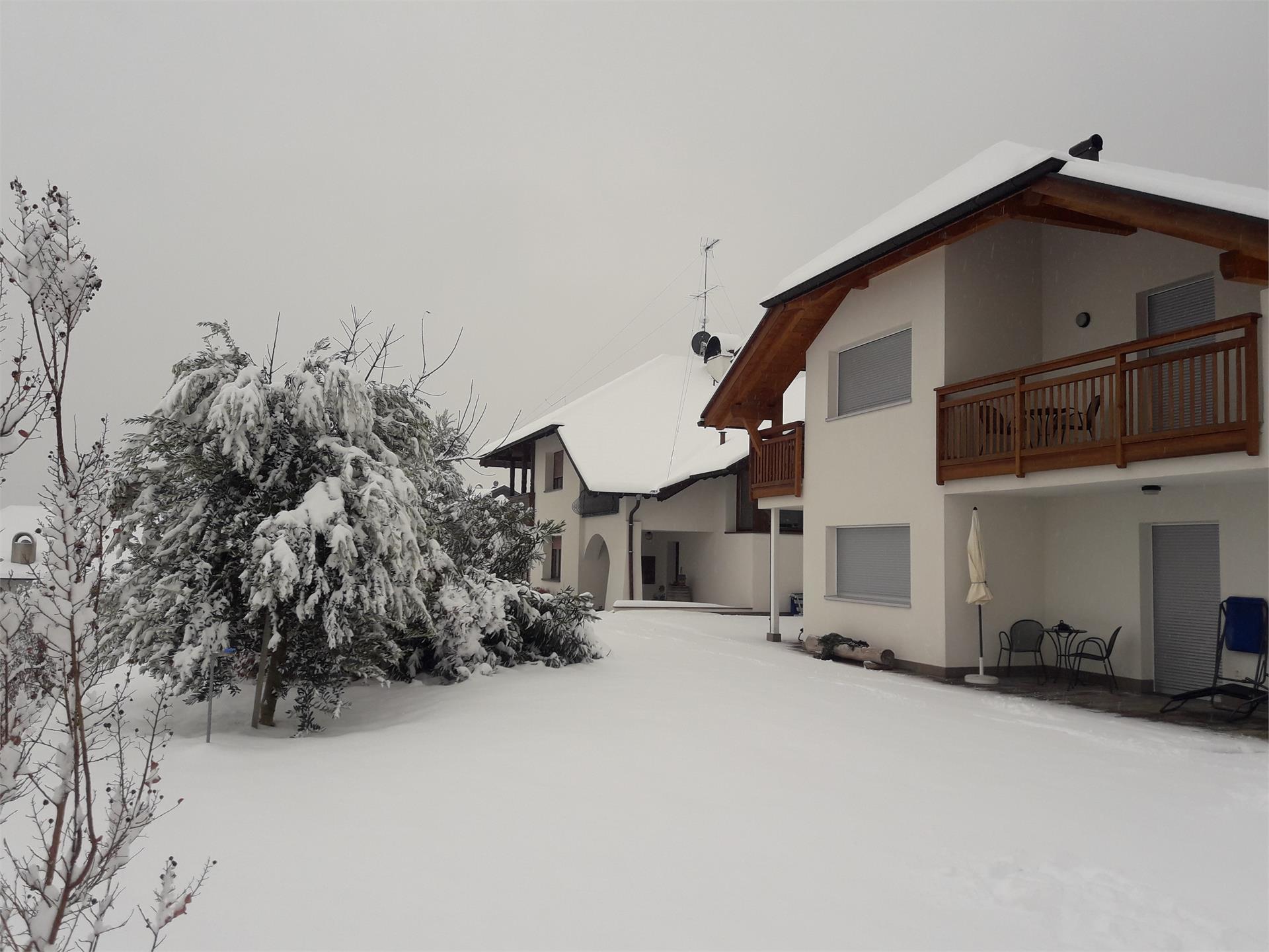 Unterstoan Hof Tramin an der Weinstraße/Termeno sulla Strada del Vino 15 suedtirol.info