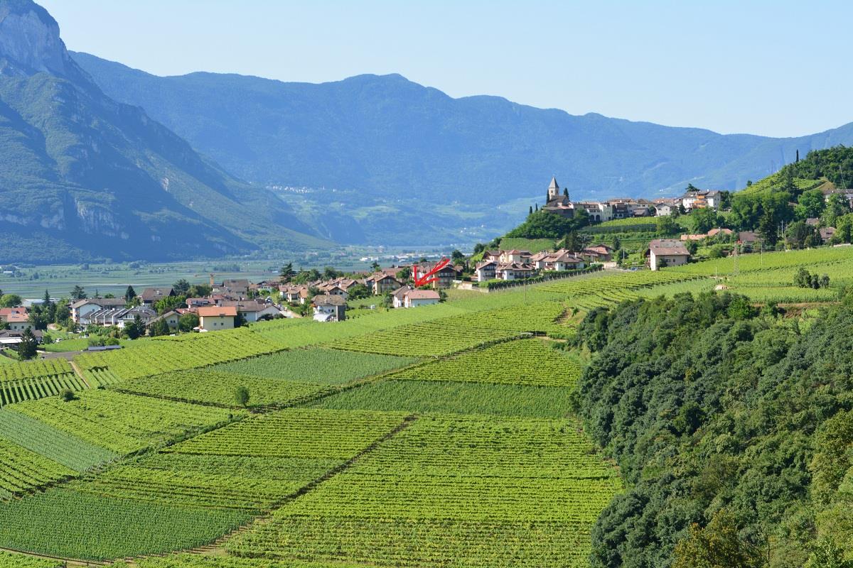 Unterstoan Hof Tramin an der Weinstraße/Termeno sulla Strada del Vino 4 suedtirol.info