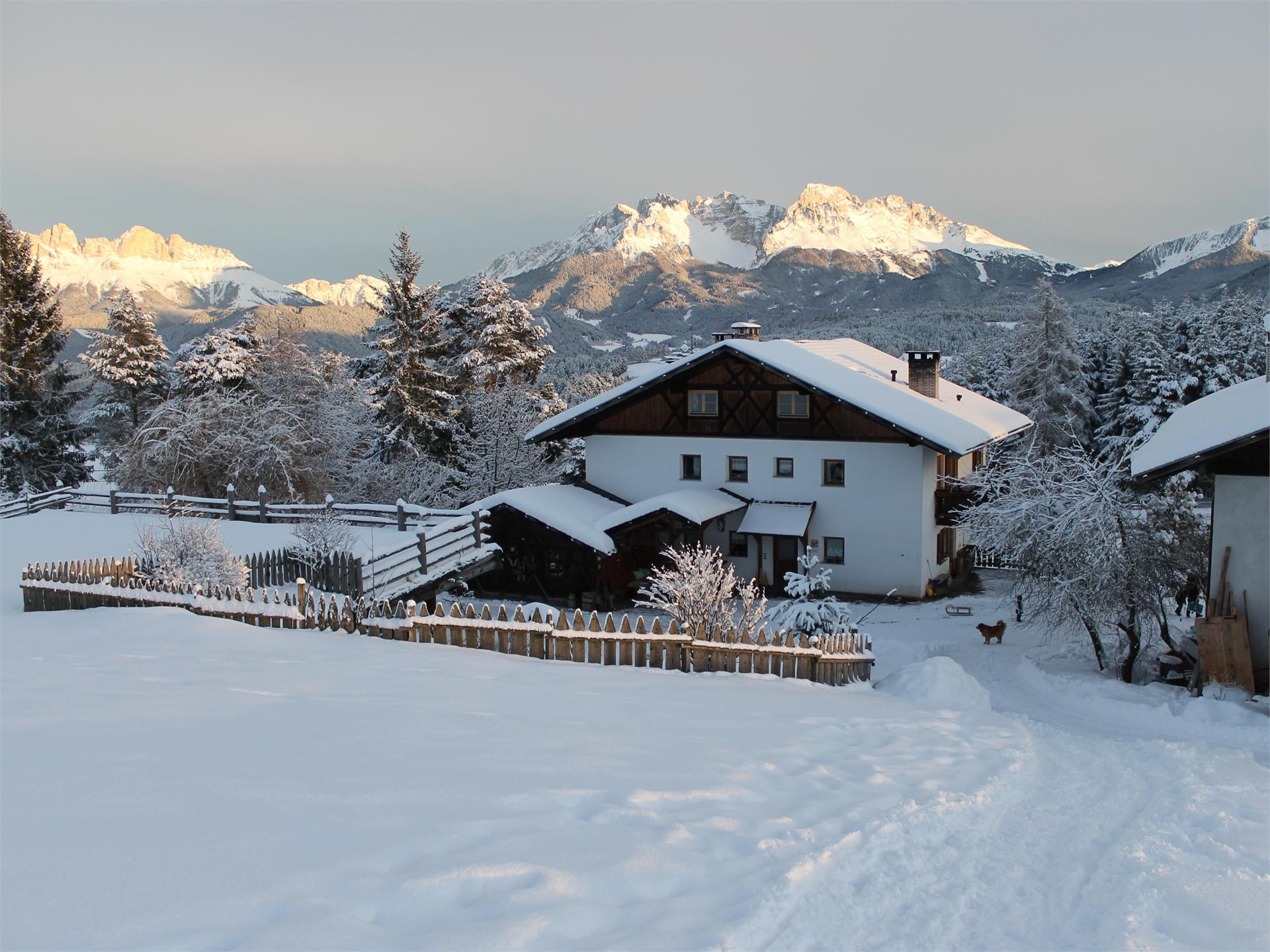 U.a.B. Stauderhof Deutschnofen/Nova Ponente 1 suedtirol.info