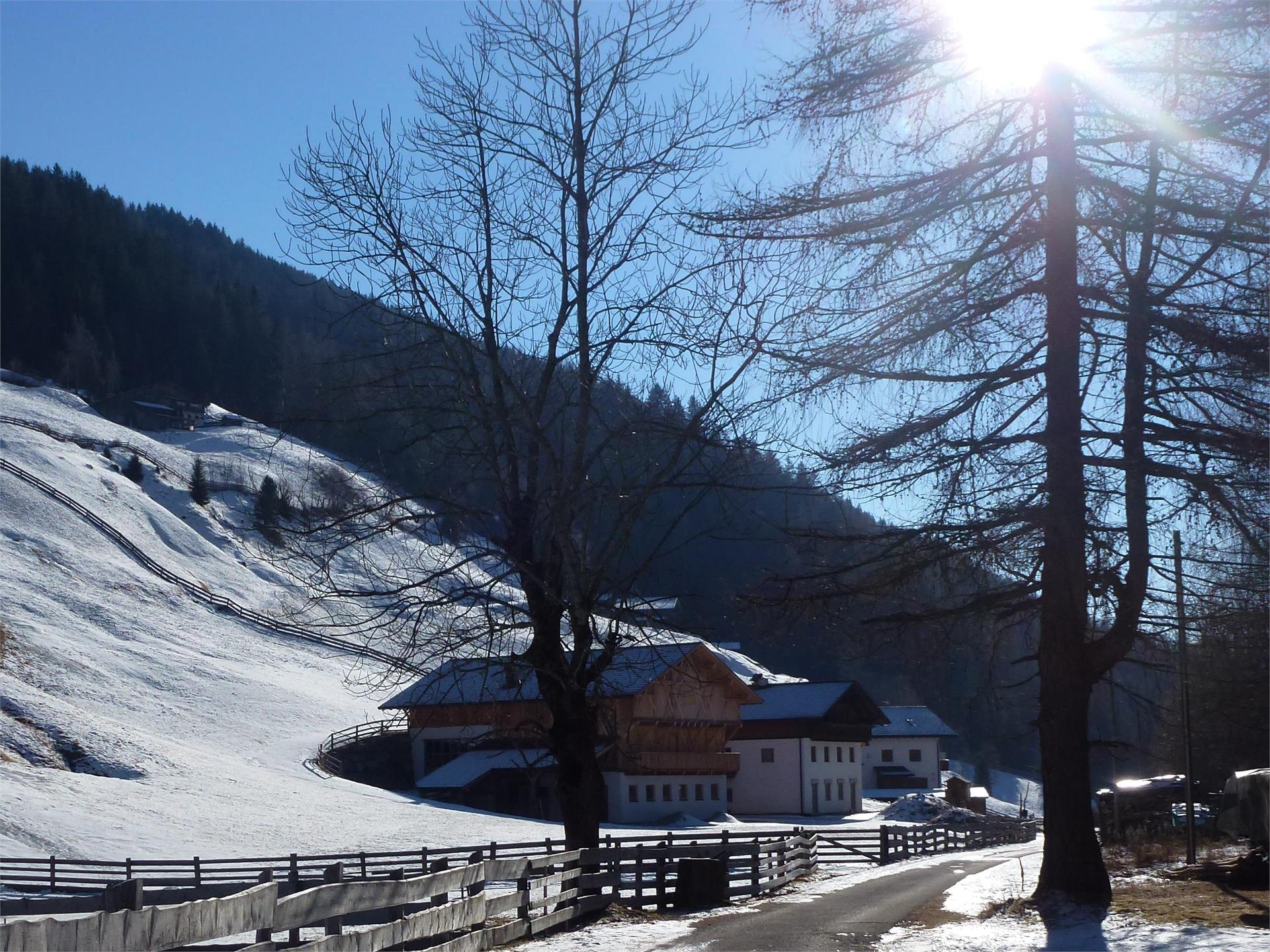 Holiday farm Schmiedlhof Sarntal/Sarentino 1 suedtirol.info