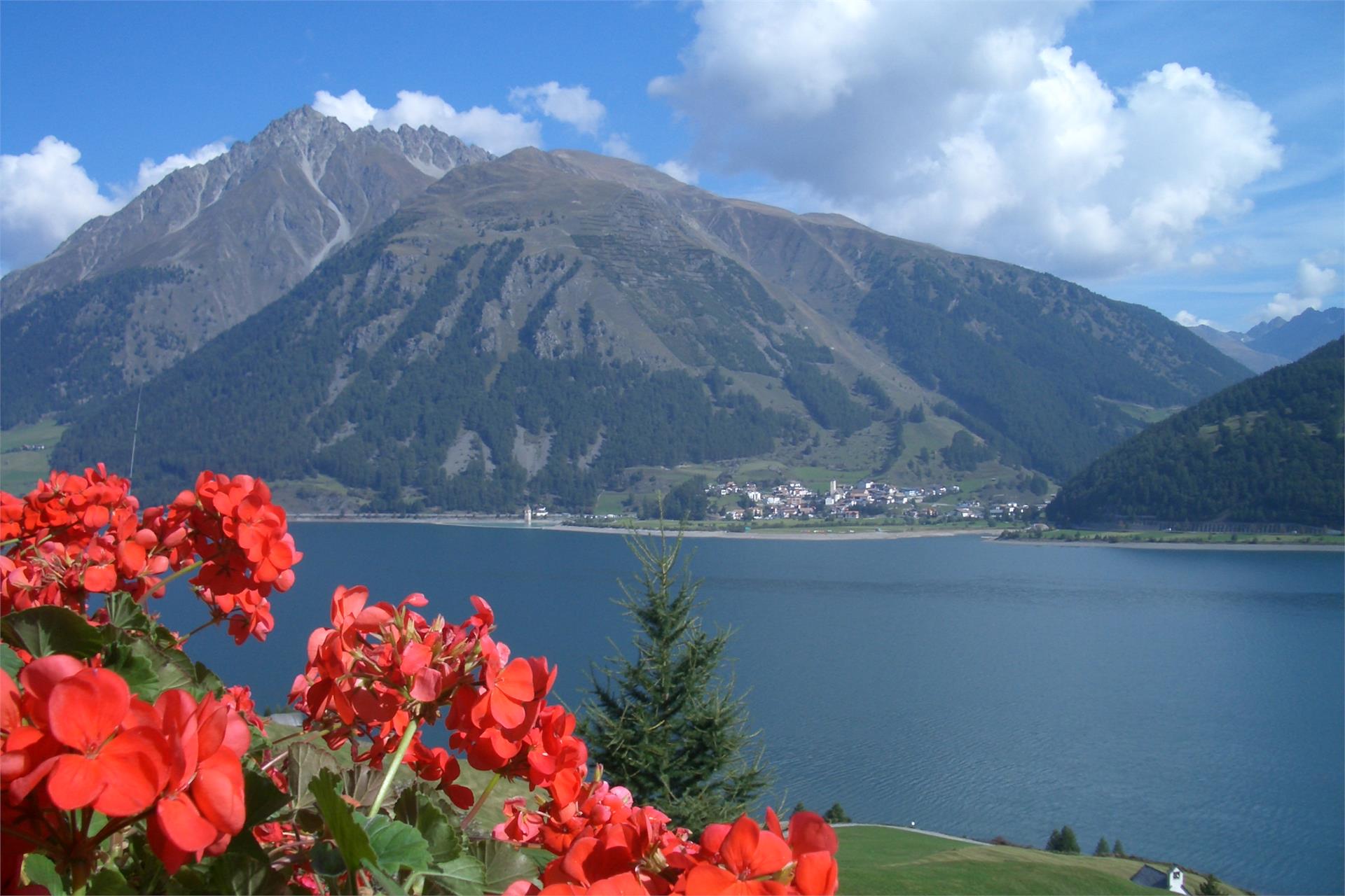 UAB Spinhof Graun im Vinschgau/Curon Venosta 11 suedtirol.info