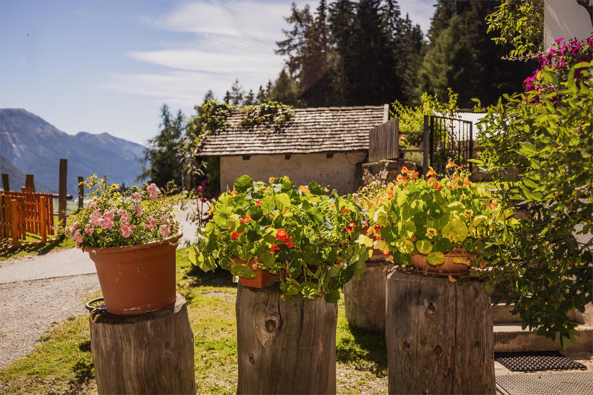 Agritourism Tendershof Graun im Vinschgau/Curon Venosta 11 suedtirol.info