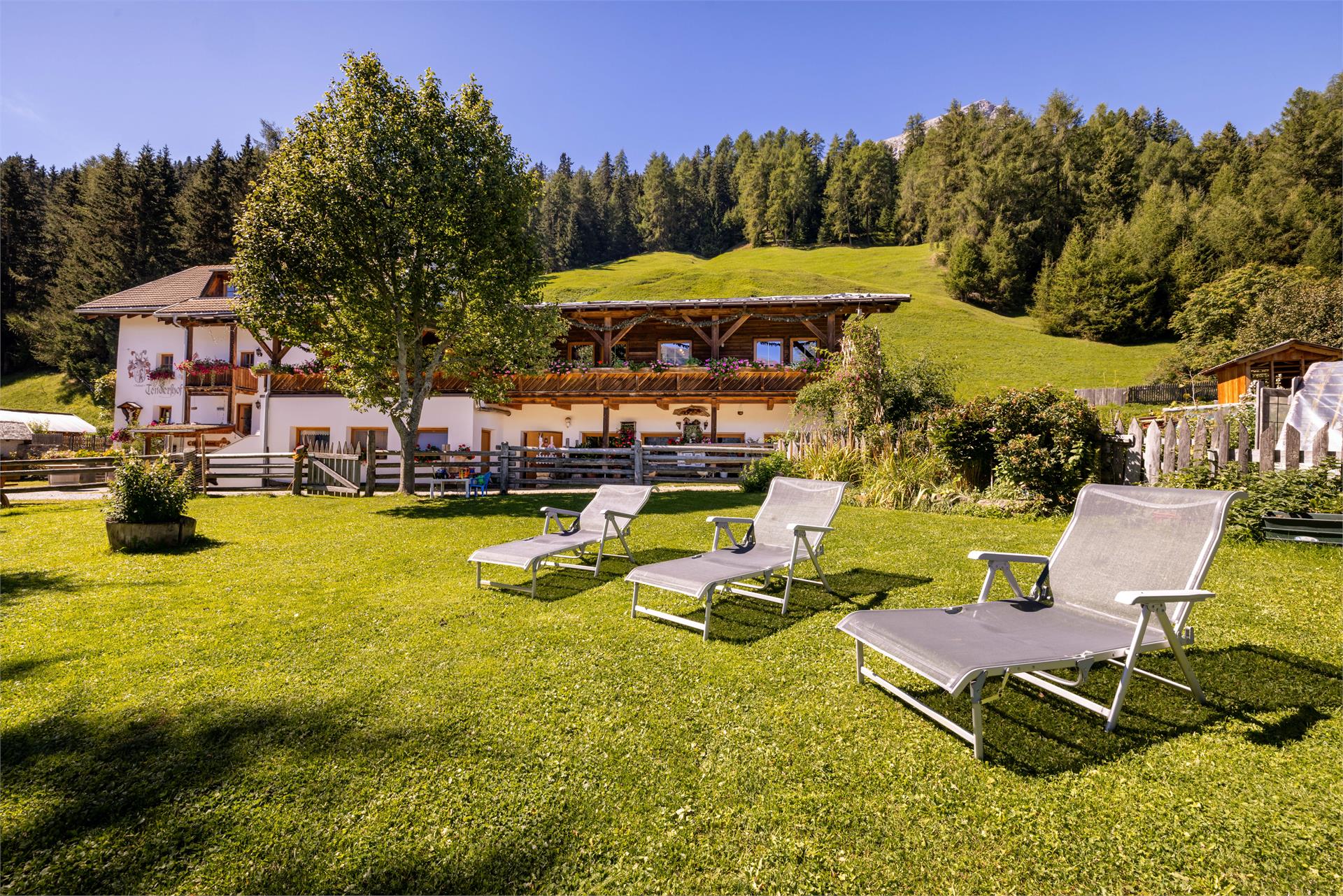 Agritourism Tendershof Graun im Vinschgau/Curon Venosta 7 suedtirol.info