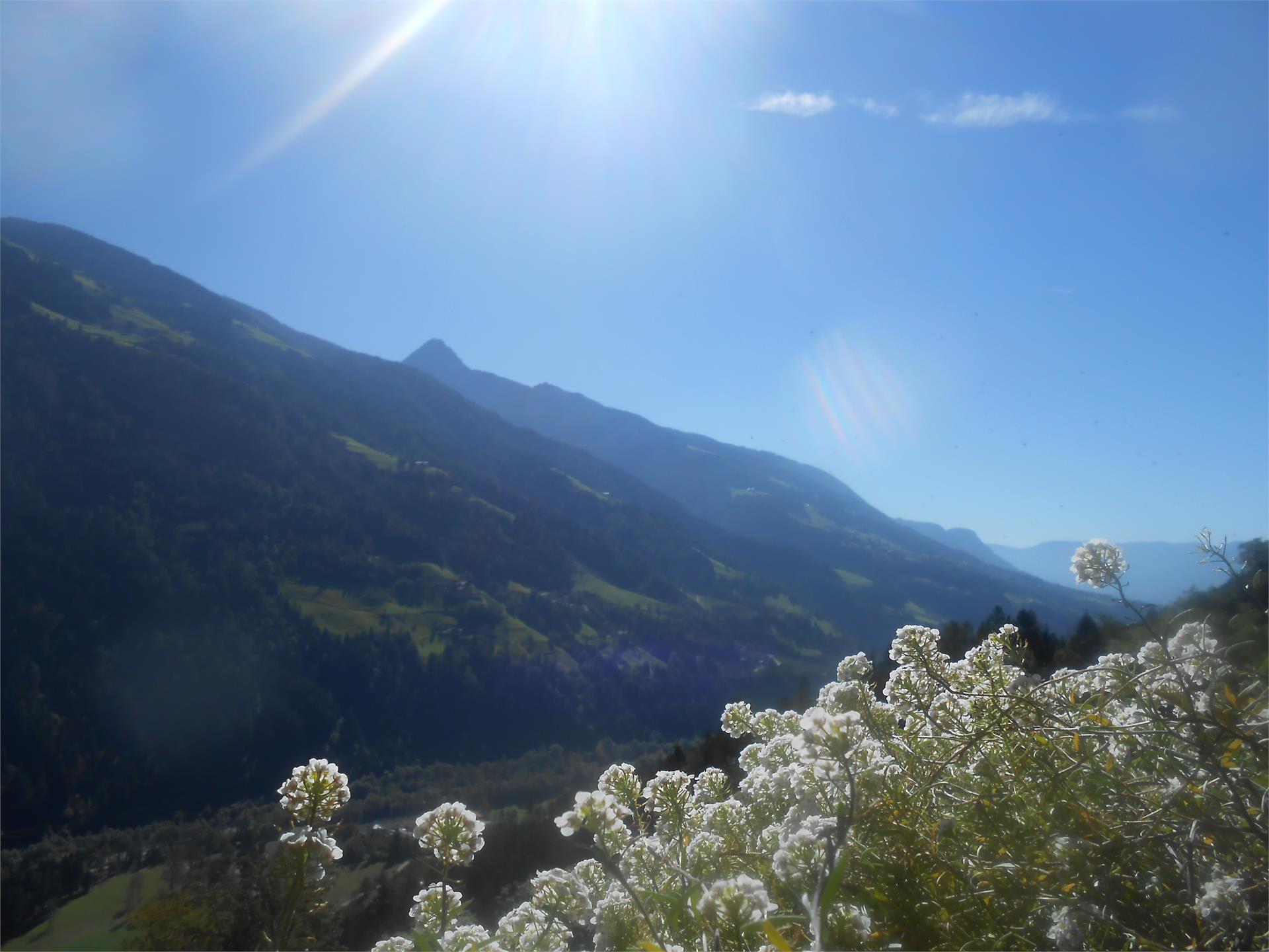 Holiday on a farm Pfandlerhof St.Martin in Passeier/San Martino in Passiria 3 suedtirol.info