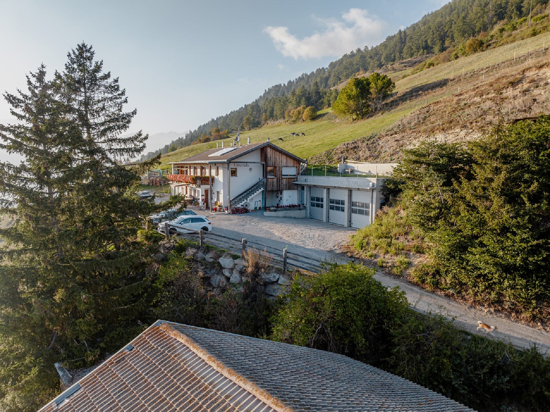 Agriturismo Maso Untertels Sluderno 4 suedtirol.info