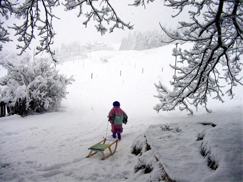 Ungererhof Kurtatsch an der Weinstraße 1 suedtirol.info