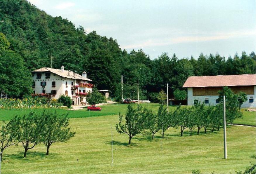 Ungererhof Kurtatsch an der Weinstraße 2 suedtirol.info