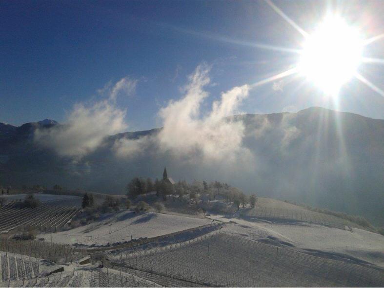 Ungererhof Kurtatsch an der Weinstraße 20 suedtirol.info