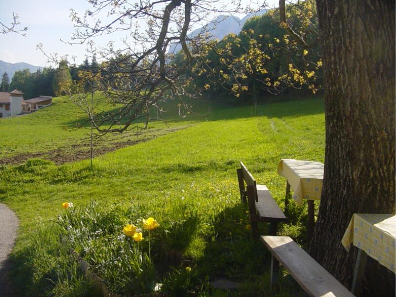 Ungererhof Kurtatsch an der Weinstraße 6 suedtirol.info