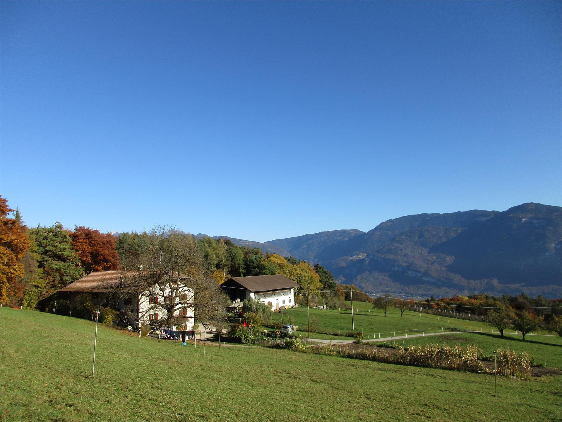 Ungererhof Kurtatsch an der Weinstraße 21 suedtirol.info