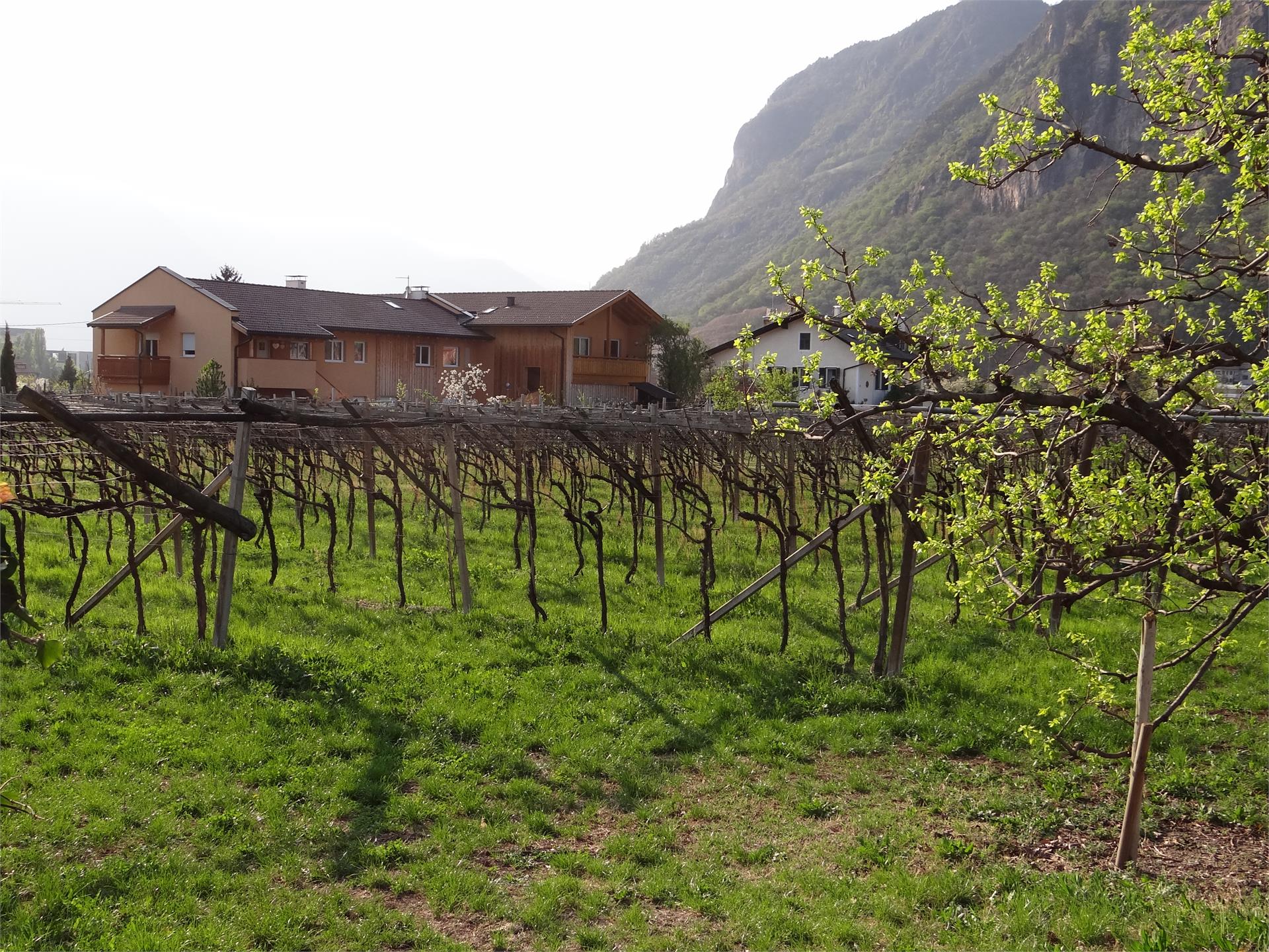 Urbanhof im Prantenbergergut Bolzano/Bozen 13 suedtirol.info